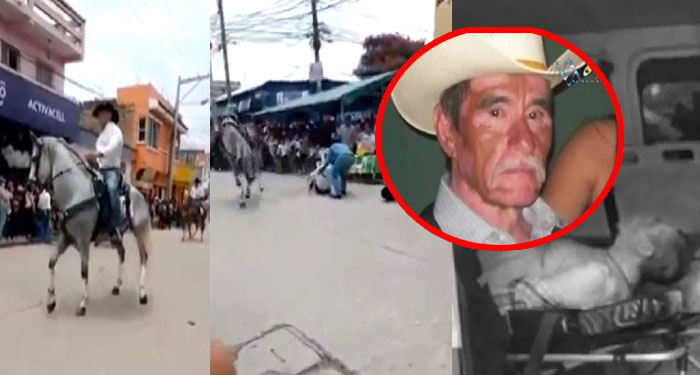 Hombre muere minutos después de caer de un caballo en desfile Hípico (Video)