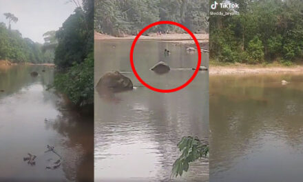 Pareja es captada manteniendo relaciones en un río y se vuelve viral (Video)