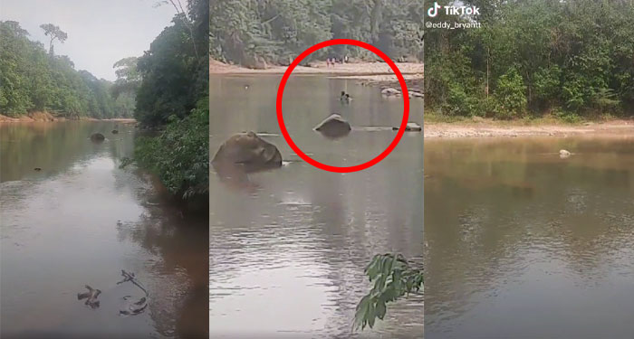 Pareja es captada manteniendo relaciones en un río y se vuelve viral (Video)