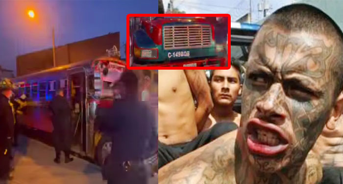 ¡URGENTE! Sicarios disparan en contra de un bus extraurbano (Video)