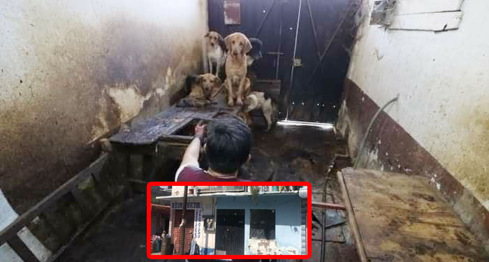 Capturan a peligroso carnicero alías “BERNA”, quien hacía y vendía tacos de perro