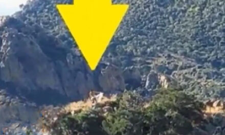 Coyotes abandonan a migrante guatemalteco en la frontera (Video)
