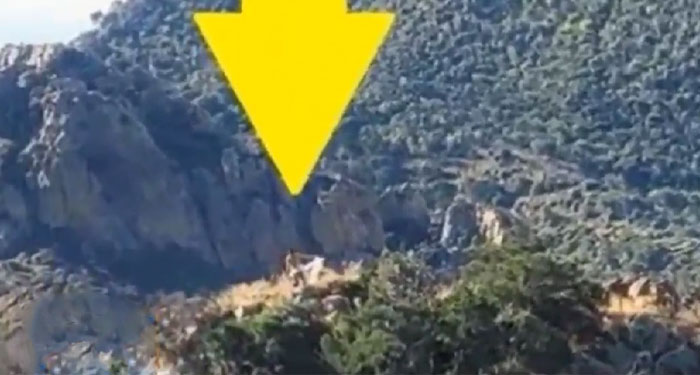 Coyotes abandonan a migrante guatemalteco en la frontera (Video)