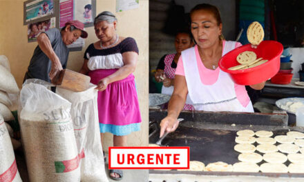 Nueva alza en el maíz blanco y las tortillas estarían subiendo de precio (Video)