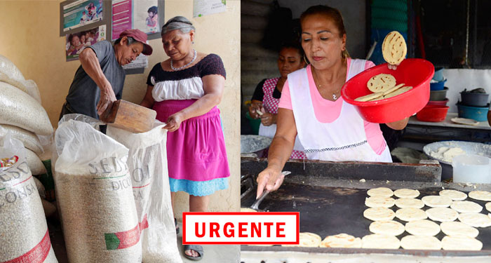 Nueva alza en el maíz blanco y las tortillas estarían subiendo de precio (Video)