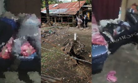 ¡URGENTE! Familia completa es asesinada dentro de su vivienda en Jutiapa (Video)