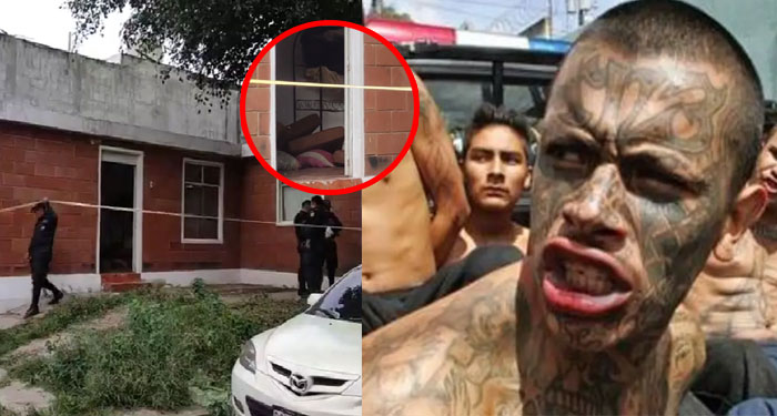 ¡URGENTE! Sicarios atacan a balazos a una pareja en el interior su vivienda (Video)