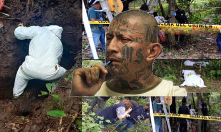 Autoridades identifican a uno de los 5 cadáveres localizados en un cementerio Clandestino