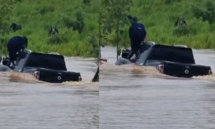 Momento en que mujer es arrastrada junto a su vehículo por un río en Morales (Video)