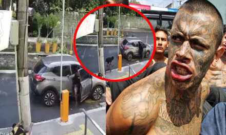 Momento en que sicarios asesinan a balazos a guardias de seguridad (Video)
