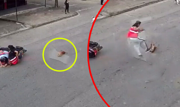 Momento en que motorista atropelló a perrito callejero y luego lo agarra a patadas (Video)