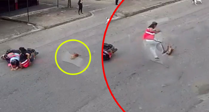 Momento en que motorista atropelló a perrito callejero y luego lo agarra a patadas (Video)