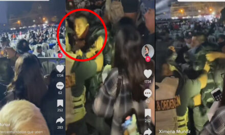 Momento en que vapulean a ladrones de celulares en concierto de Daddy Yankee (Video)