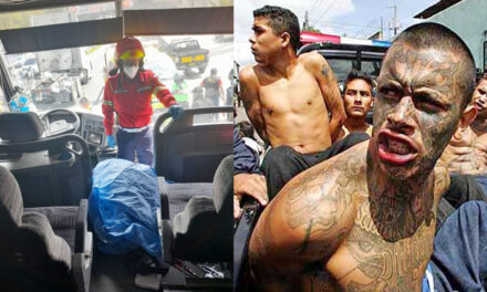 Extorsionistas disparan en contra chofer de bus extraurbano por no pagar la cuota (Video)
