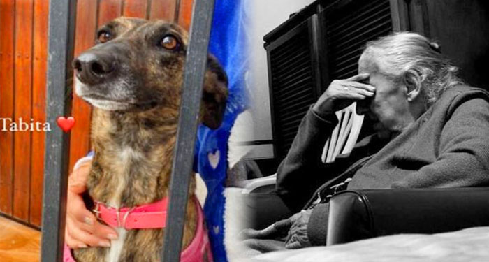 Abuelita de 84 años fue expulsada de su casa por sus hijos y busca un hogar para su perrita