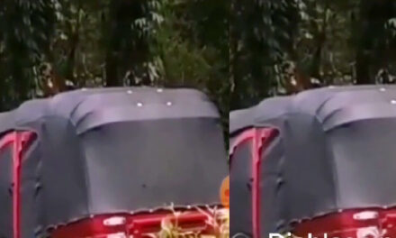 Pareja es captada manteniendo relaciones dentro de un Tuc tuc en la vía pública (Video)