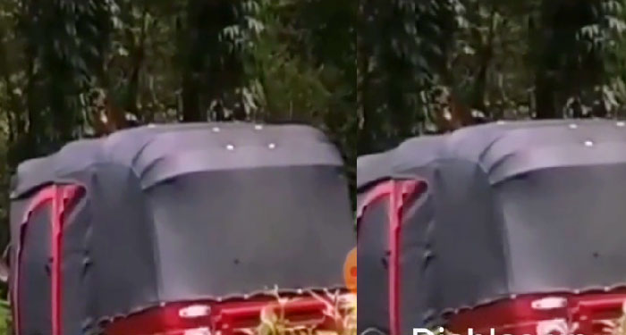 Pareja es captada manteniendo relaciones dentro de un Tuc tuc en la vía pública (Video)