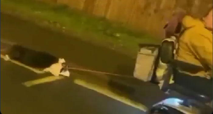 Conductor graba a mujer que arrastra a un perro amarrado con una cadena a su moto (Video)