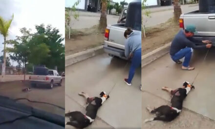 Hombre es captado arrastrando a su perro con su vehículo y causa indignación (Video)