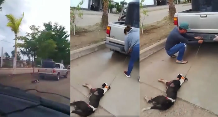 Hombre es captado arrastrando a su perro con su vehículo y causa indignación (Video)