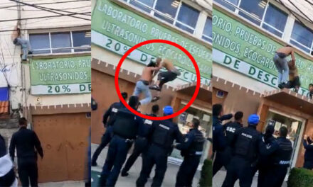 Momento en que ladrón cae del techo de un edificio por escapar de Policía (Video)