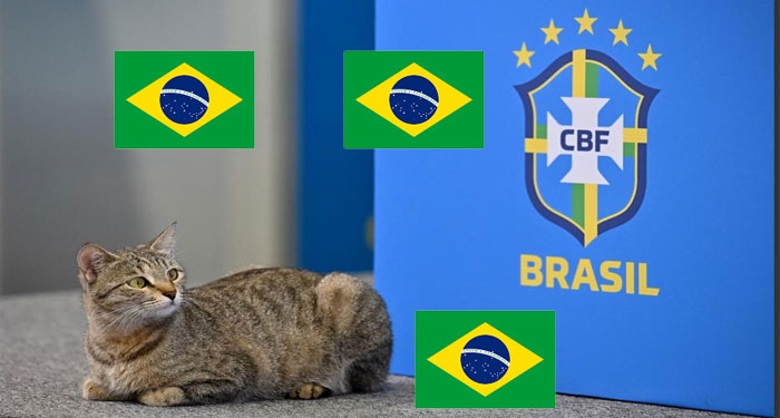 La maldición del “GATO” sobre el equipo de Brasil