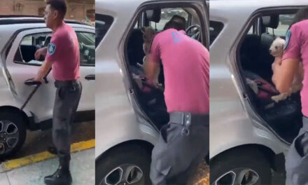 Policía rompe el vidrio de un automóvil para rescatar a un perro abandonado a 38°C (Video)