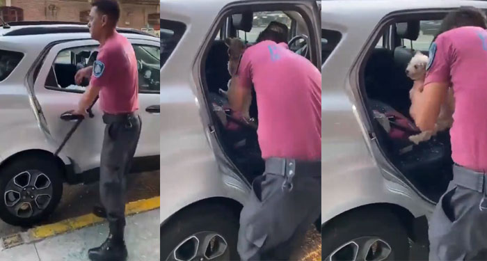 Policía rompe el vidrio de un automóvil para rescatar a un perro abandonado a 38°C (Video)