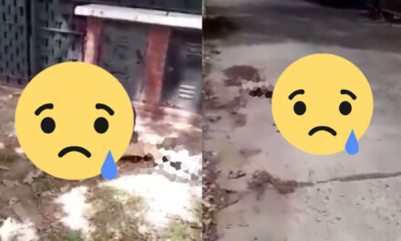 Mujer Policía mata a dos ladrones cuando intentaban asaltar a una mujer (Video)
