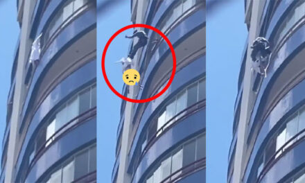 Momento que mujer cae del piso 20 de un edificio cuando iba a ser rescatada (Video)