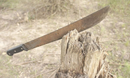 Tras una discusión por una supuesta herencia, dos hombres mataron a su padre con un machete