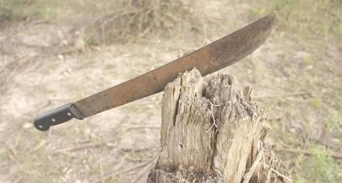 Tras una discusión por una supuesta herencia, dos hombres mataron a su padre con un machete