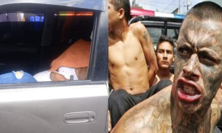 Balacera deja tres fallecidos, entre ellos un hombre en silla de ruedas (Video)