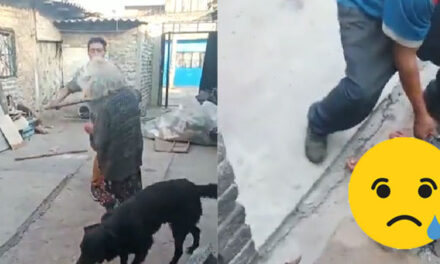Momento en que hombre golpeó brutalmente a una anciana con un tubo de metal (Video)