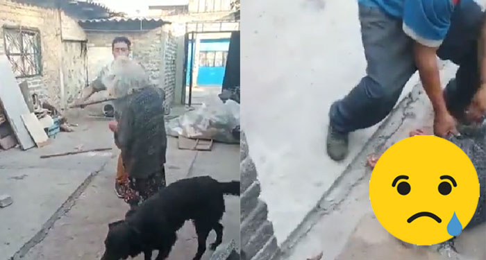Momento en que hombre golpeó brutalmente a una anciana con un tubo de metal (Video)