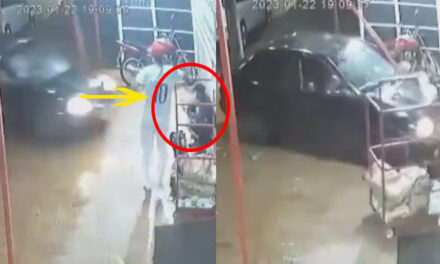 Momento en que joven mató a su padrastro porque le había pegado a su madre (Video)