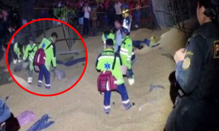 Camión de maíz volcó, personas se acercaron para robar y terminaron fallecidas (Video)