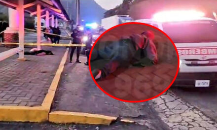 Ladrón intentó asaltar a pasajeros con arma de juguete y pasajero lo mató con arma de verdad (Video)