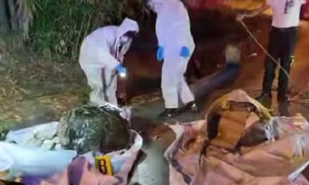 “MACABRO” Localizan dos cuerpos envueltos en sábanas y piedras encima (Video)