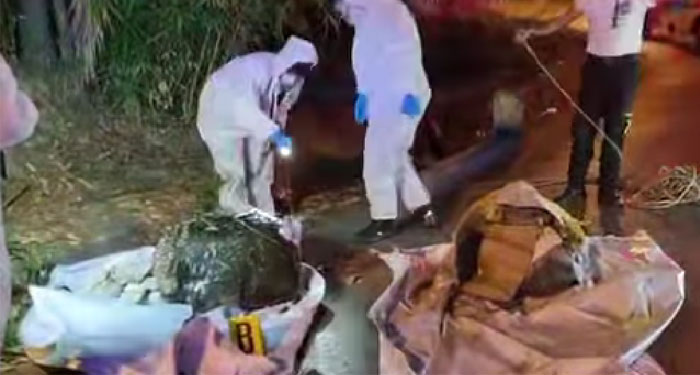 “MACABRO” Localizan dos cuerpos envueltos en sábanas y piedras encima (Video)