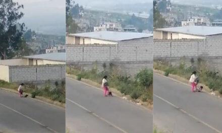 Momento en que una madre golpea a su hijo a patadas en la calle (Video)