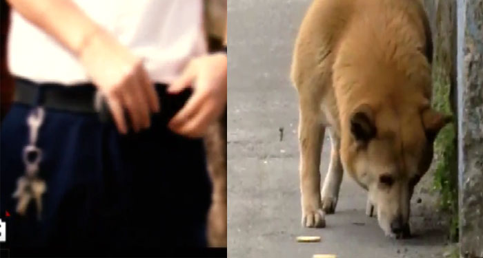 Hombre es señalado de violar a una perrita y dejarla abandonada (Video)