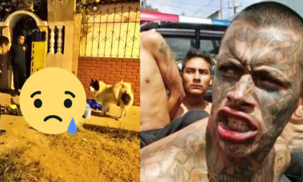 Hombre es acribillado cuando paseaba con su mascota