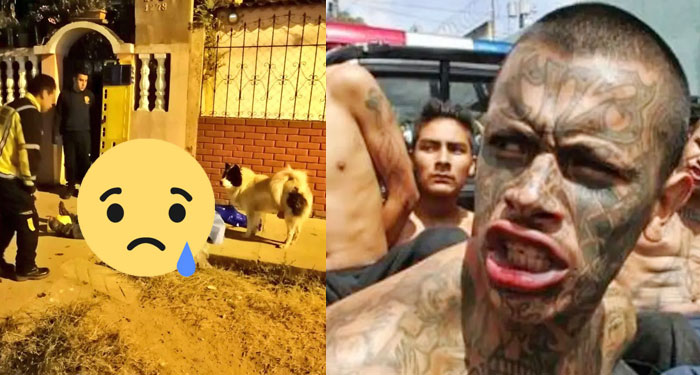 Hombre es acribillado cuando paseaba con su mascota
