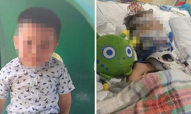 Niño de tres años se encuentra en coma al recibir varias patadas por parte de novio de su madre