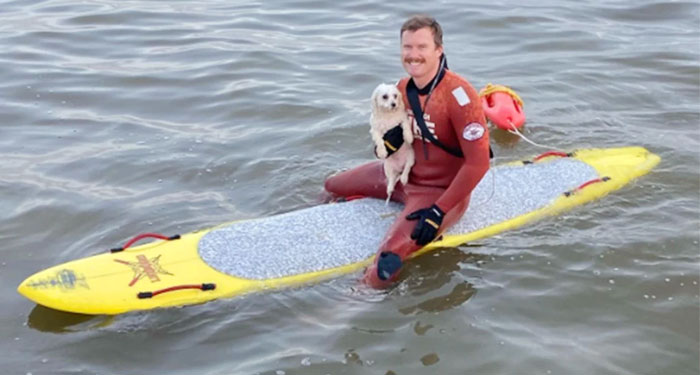 Momento en que socorrista arriesgó su vida para salvar a un perrito que nadaba mar adentro (Video)
