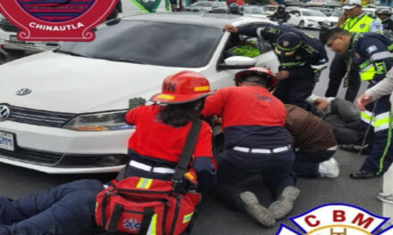 Bomberos y PMT detienen en tráfico para rescatar a perro que fue atropellado en el Periférico (Video)