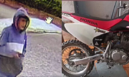 Momento en que delincuentes se roban una moto a plena luz del día (Video)