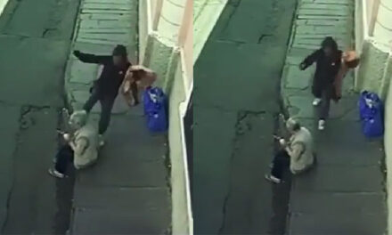 Buscan a mujer que le pateo la cara a una abuelita en la calle (Video)