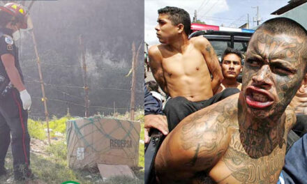 Sicarios dejan abandonado el cuerpo de un hombre dentro de una caja de cartón (Video)